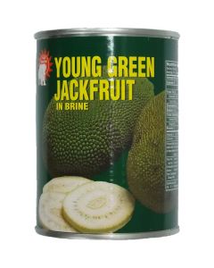 Sun Voi Young Green Jackfruit In Brine (565g)